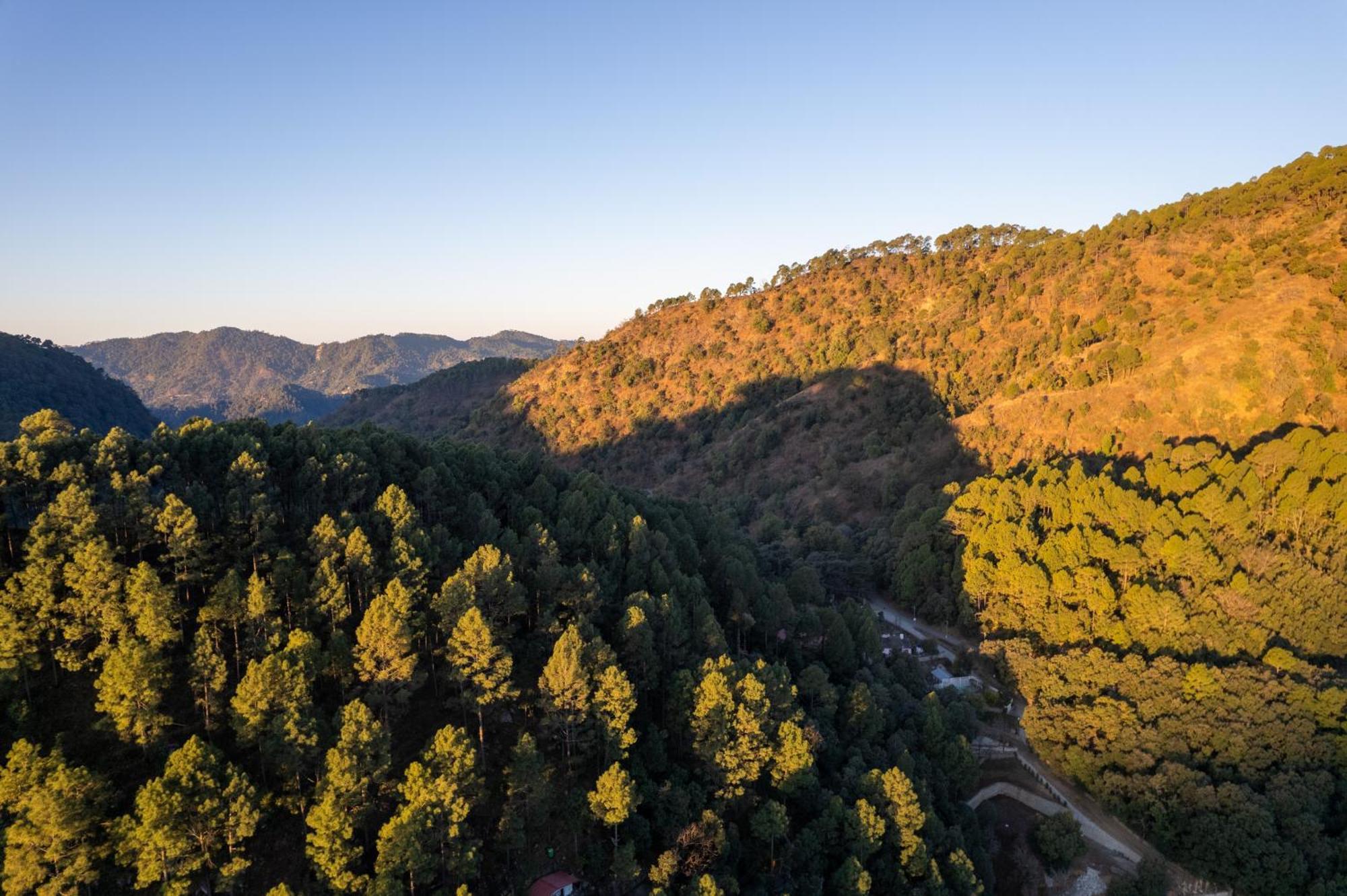 The Canadian Woods Resort Nainital Exteriör bild